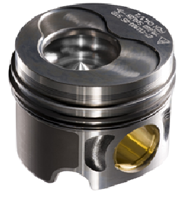 Piston Ring Assembly Piston Ring Assembly