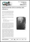Cylinder Liner Distortion