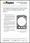 Elastomer Gaskets