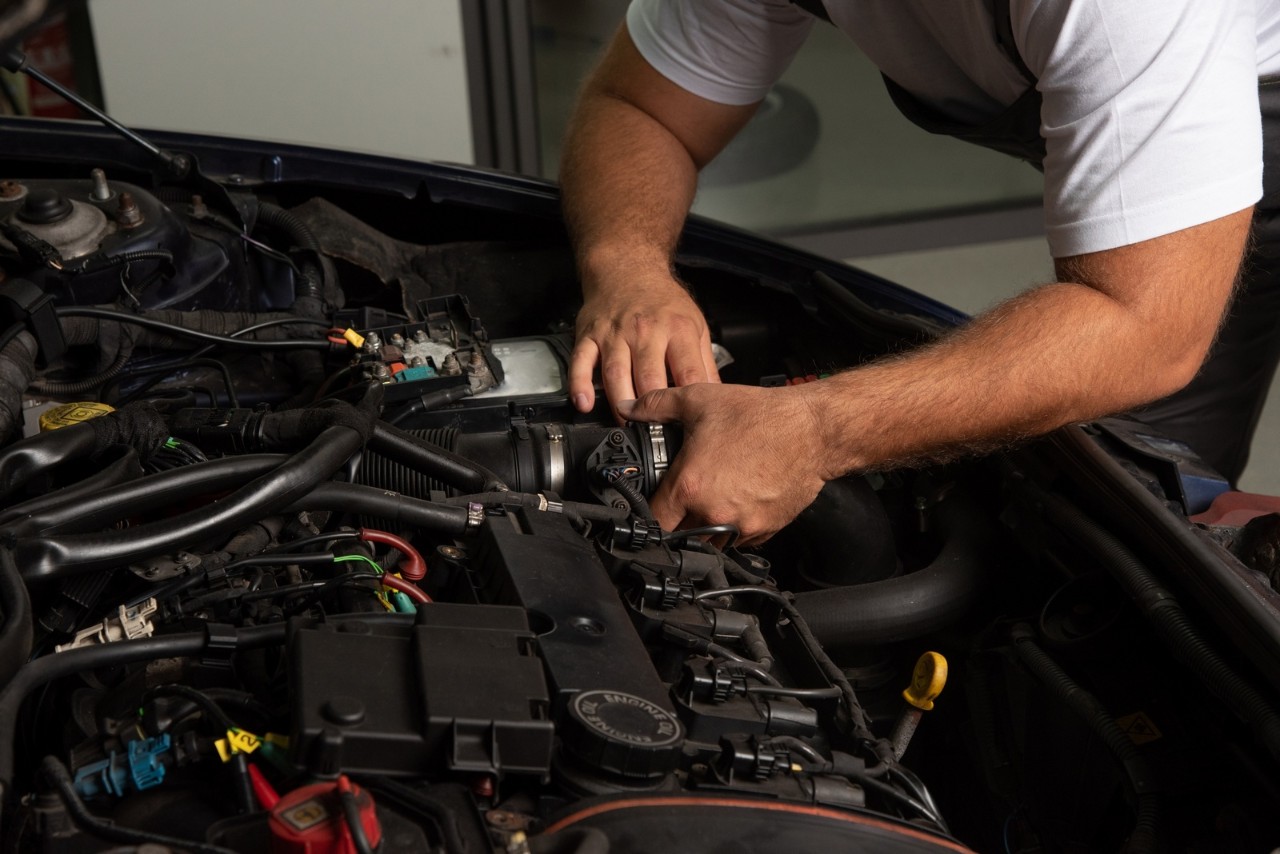 ZAM_6145 copy ZAM_6145 copy