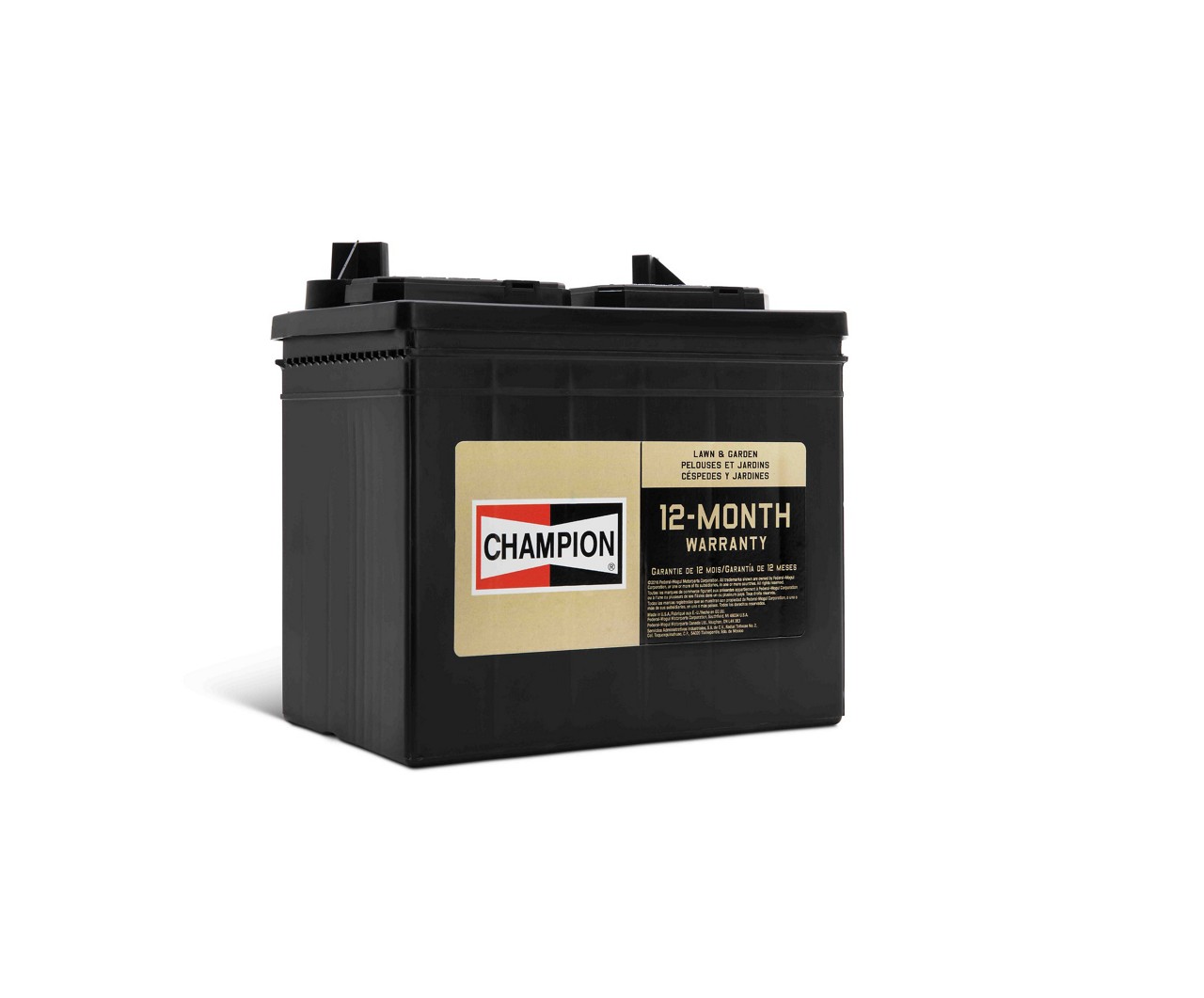 champion-lawn-garden-battery champion-lawn-garden-battery