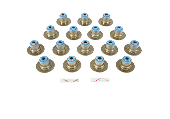 Engine_Repair_Valve_Stem_Seals_Header Engine_Repair_Valve_Stem_Seals_Header