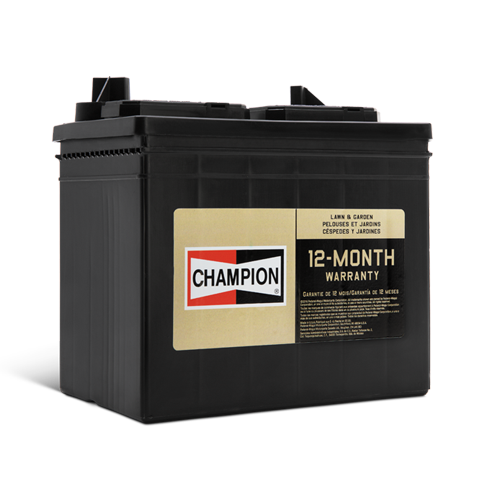 Champion-Lawn-And-Garden-Battery-Low-Res Champion-Lawn-And-Garden-Battery-Low-Res